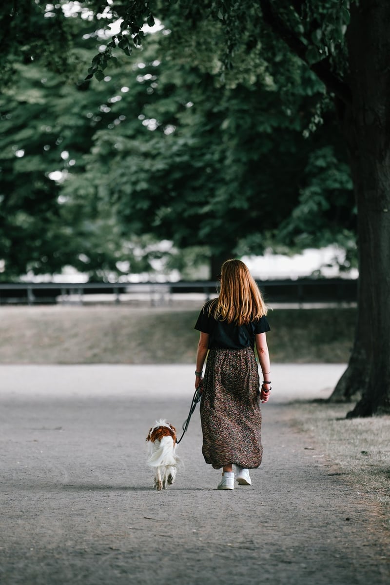 Mindful Walking
